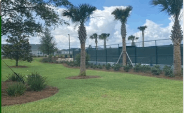 A grassy area with trees